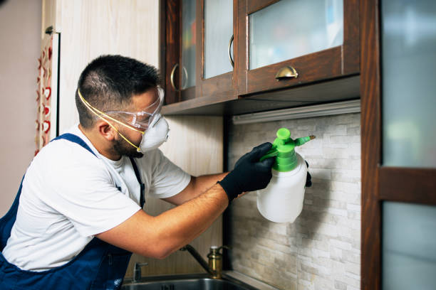 Best Termite Control Services  in Richgrove, CA