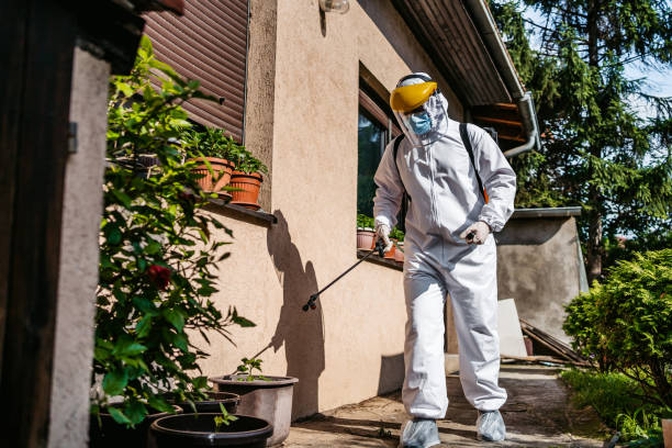 Best Pest Removal Services  in Richgrove, CA