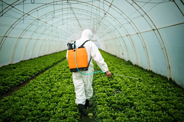 Best Wildlife Control Services  in Richgrove, CA