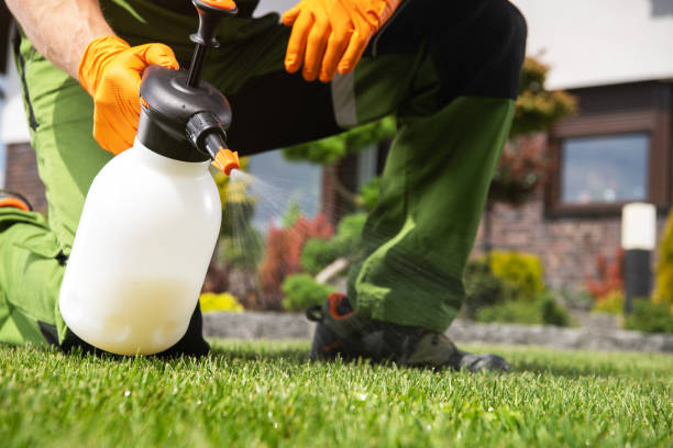 Best Bird Control  in Richgrove, CA