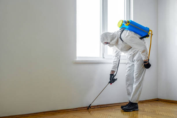 Pest Control for Restaurants in Richgrove, CA