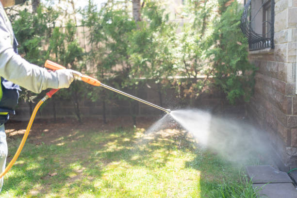 Best Flea Control Services  in Richgrove, CA