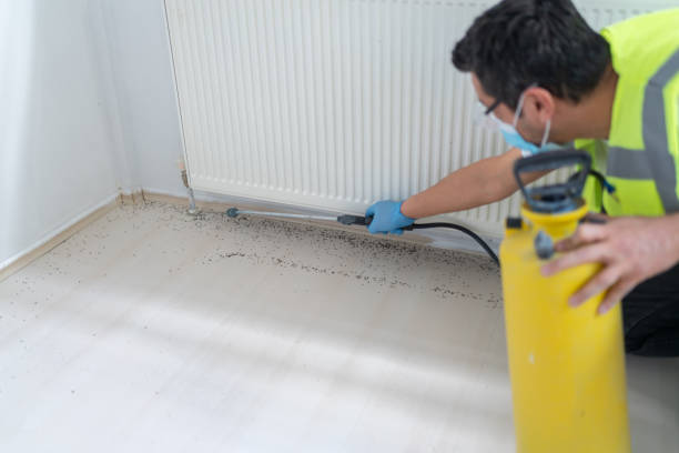 Best Flea Control Services  in Richgrove, CA