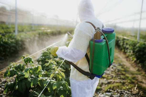 Best Ant Control Services  in Richgrove, CA